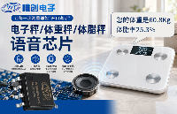 电子秤/体重秤/体脂秤为什么都离不开唯创电子的语音芯片？