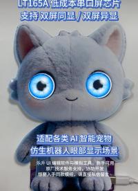 乐升 LT165A 低成本芯片
支持双屏同显/双屏异显
#机器人 #串口屏方案 #芯片 