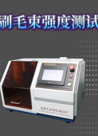 理涛 LT-WS007 牙刷毛束强度测试仪 GB19342-2024 产品展示