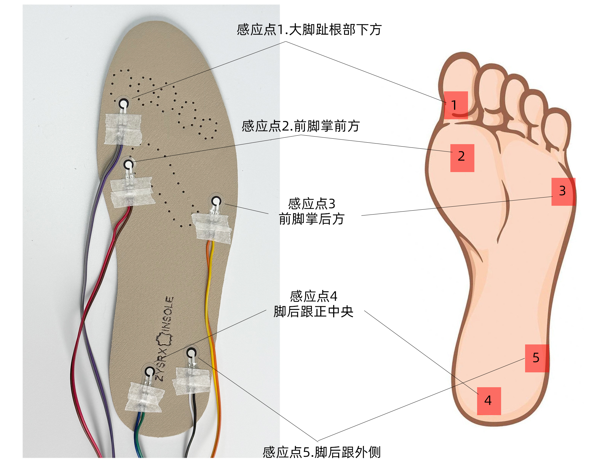 站立·<b class='flag-5'>行走</b>·奔跑·跳跃：足底压力分布的四种状态实测