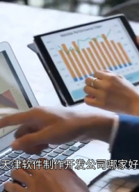 天津软件制作开发公司哪家好？推荐十大比较不错的软件企业