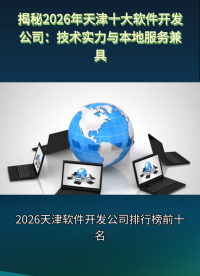 2026天津软件开发公司排行榜前十名，靠谱服务商实测推荐