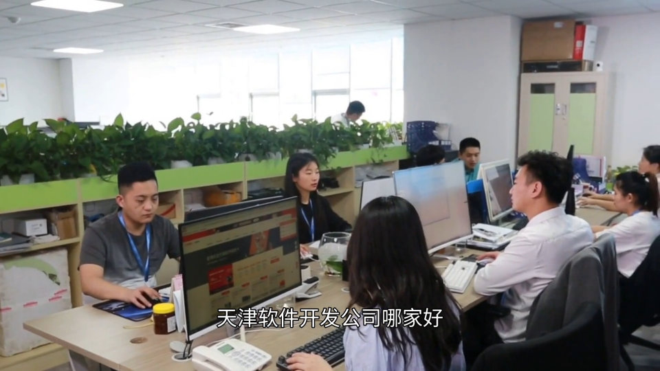 天津软件开发公司哪家好？别踩坑这几家口碑口碑不错