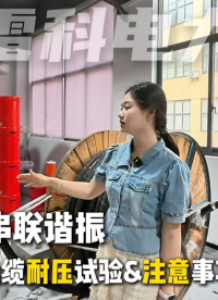 雷科电力108kVA/108kV串联谐振电缆耐压试验操作&注意事项讲解：#串联谐振 #电缆耐压试验
 