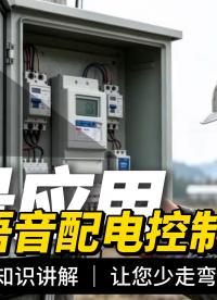 工地降本增效的秘密，原来是485语音识别模块#plc #物联网 
