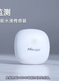 星纵物联智能水浸传感器，一体式设计，可广泛应用于精密机房、博物馆、图书馆、档案馆、办公场所、厨房、卫生间等场景