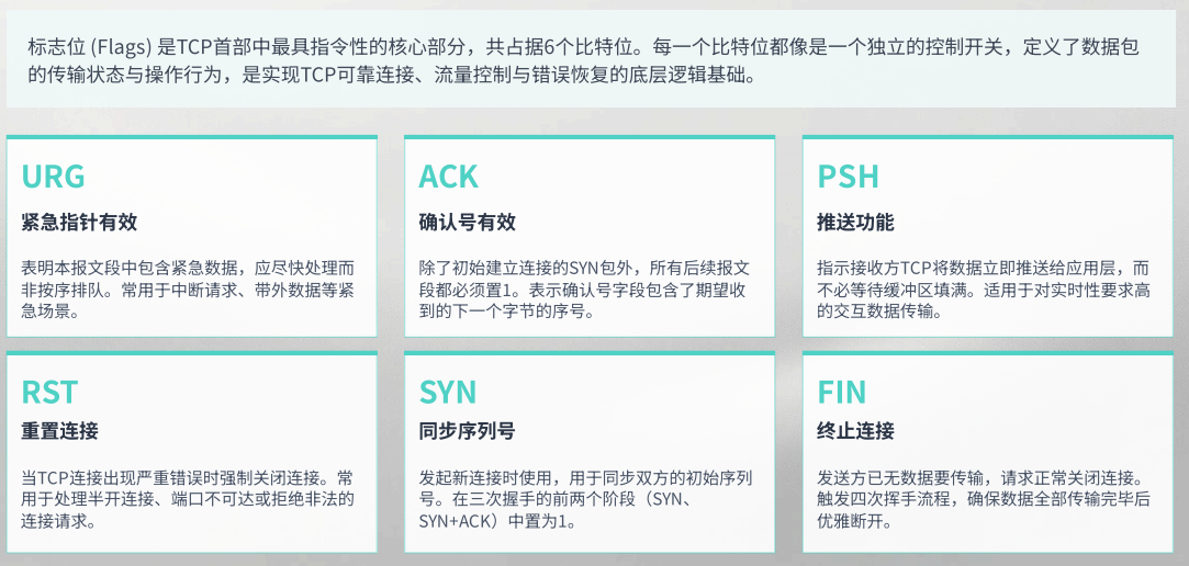 以太网