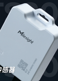 星纵物联TS201温度传感器，高精度温度监测，完美适配冷链行业