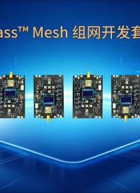 支持树状、 网状组网，最多 255跳的 MESH 组网方案来啦。