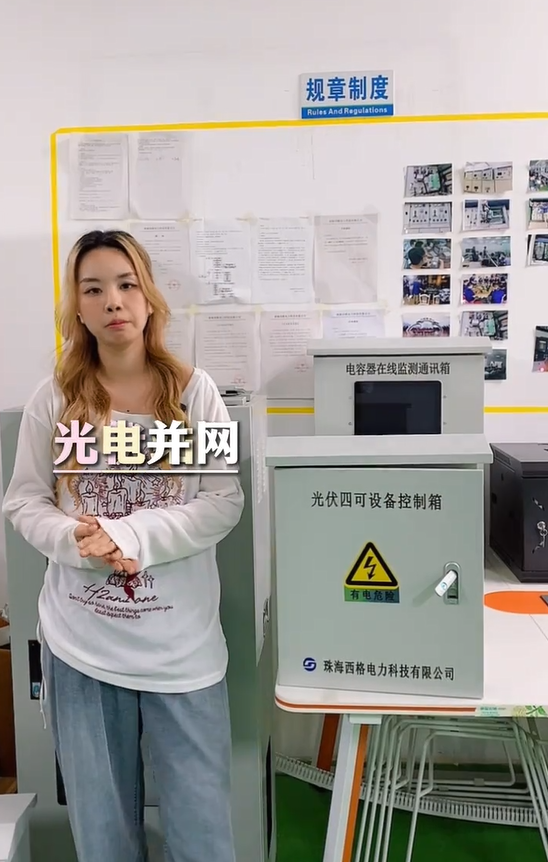光伏并网神器！四可功能一台全搞定