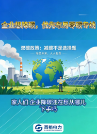 企业想降碳，优先布局零碳专线 