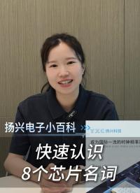 电子人必知的8个芯片名词
#电子 #电子工程师 #电路设计 #PCB #扬兴科技 