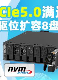 【ICY DOCK新品】8盘E1.S塞进服务器，PCIe 5.0满速直读是什么体验？#硬盘盒 #E1.S 