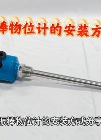 振棒物位计的安装方式分享