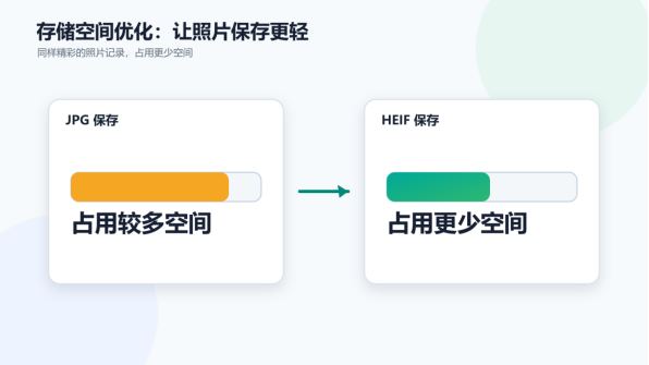 Developer