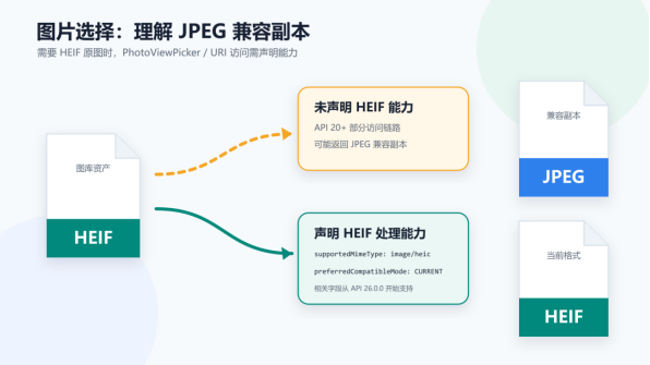 Developer