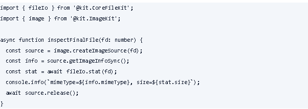 Developer