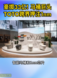 豪掷33亿！马桶巨头TOTO跨界押注1nm #TOTO跨界半导体#1nm制程芯片#静电吸盘#台积电2nm
 
