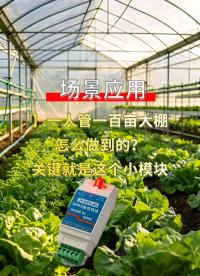 无线数据传输利器！4G DTU对传模块，撑起百亩大棚智能管理#plc #物联网 