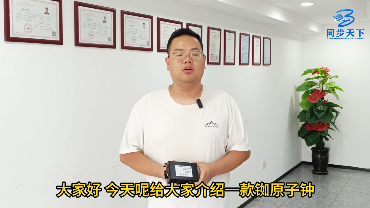 模块化的驯服铷原子钟