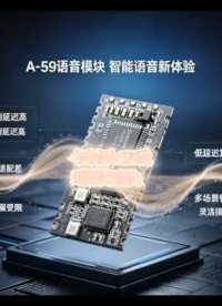 双波束交叉 AEC 架构解析：A-59 一体化双通道语音 DSP处理#嵌入式开发 #电子元器件 