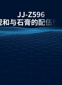 觐嘉-JJ-Z596细节再现和与石膏的配伍性试验组件 使用防范