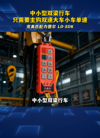 中小型双梁行车只需要主钩双速、大车小车单速，2 双 2 单动作完美匹配力德尔 LD-8DK#工业遥控器定制
 