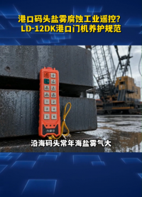 港口码头盐雾腐蚀工业遥控？LD-12DK港口门机养护规范# 