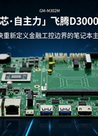 「国产芯·自主力」飞腾D3000M主板：一块重新定义金融工控边界的笔记本主板#工控主板 #飞腾主板 