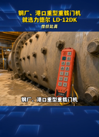 钢厂、港口重型重载门机遥控，就选力德尔 LD-12DK#工业遥控器 