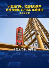小型龙门吊、破碎机、轻型电动葫芦遥控，认准力德尔 LD-8SK单速遥控#工业遥控器 
