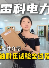 雷科电力绝缘油耐压试验全过程操作讲解&配件介绍 #绝缘油耐压试验##变压器油耐压试验##绝缘耐压试验# 