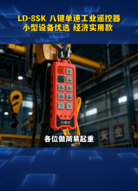 LD-8SK 八键单速工业遥控，小型设备优选# 工业遥控器