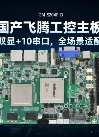 国产飞腾工控主板，双显+10 串口，全场景适配#工控主板 #国产主板 #飞腾主板 