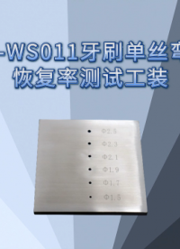 乾元  QY-WS011牙刷单丝弯曲恢复率测试工装  品质如一