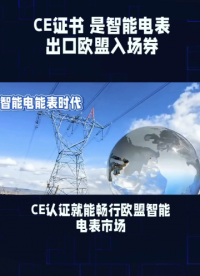 CE证书智能电表 出口欧盟入场券
#仪器仪表 #仪表出口 