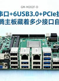 12串口＋6USB3.0＋PCIe扩展：飞腾主板藏着多少接口自由#工控主板 #国产主板 #飞腾主板 