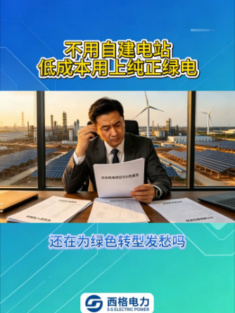 电站