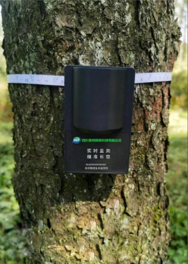 野外无损树径监测仪硬件设计与 NB-IoT 数据对接完整方案