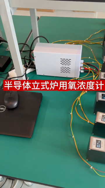 半导体立式炉用氧浓度计#传感器 #立式炉 