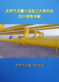 天然气流量计选型三大原则与四大参数详解#农业物联网 #专科生 #plc教学 #警车灯电路 #溶氧仪校准 