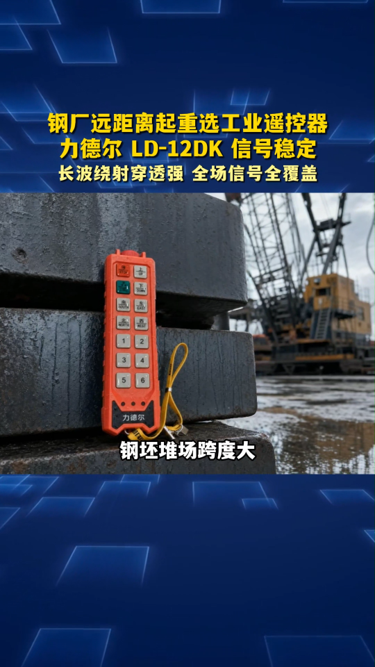 钢厂远距离起重选工业遥控器，力德尔LD-12DK信号稳定#工业遥控器 