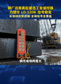 钢厂远距离起重选工业遥控器，力德尔LD-12DK信号稳定#工业遥控器 