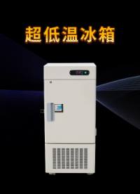 诚卫 超低温冰箱 符合标准