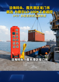 沿海码头、露天港区龙门吊，恶劣环境作业就选力德尔LD-10DK工业遥控#工业遥控器 