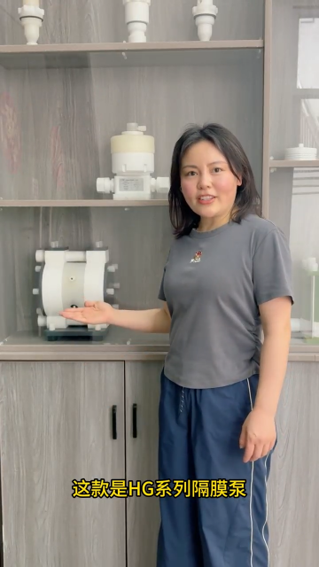 隔膜泵HG系列# 半导体