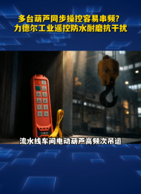 多台葫芦同步操控容易串频？力德尔工业遥控防水耐磨抗干扰