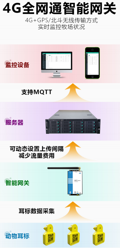 分场景选型指南:一帆云全系列智能动物电子耳标核心差异深度解析