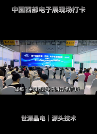 世源晶电团队成都西部电子展实地调研，穿梭西南电子产业生态，洞察新能源、工控赛道时频元器件