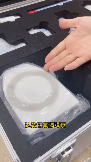 四氟隔膜泵# 隔膜泵# 半导体